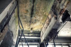 Best Industrial Mold Remediation  in Montgomery, GA